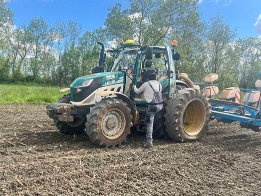 semis-de-tournesols-avec-un-lovol-tracteur-p5130-en-vendee